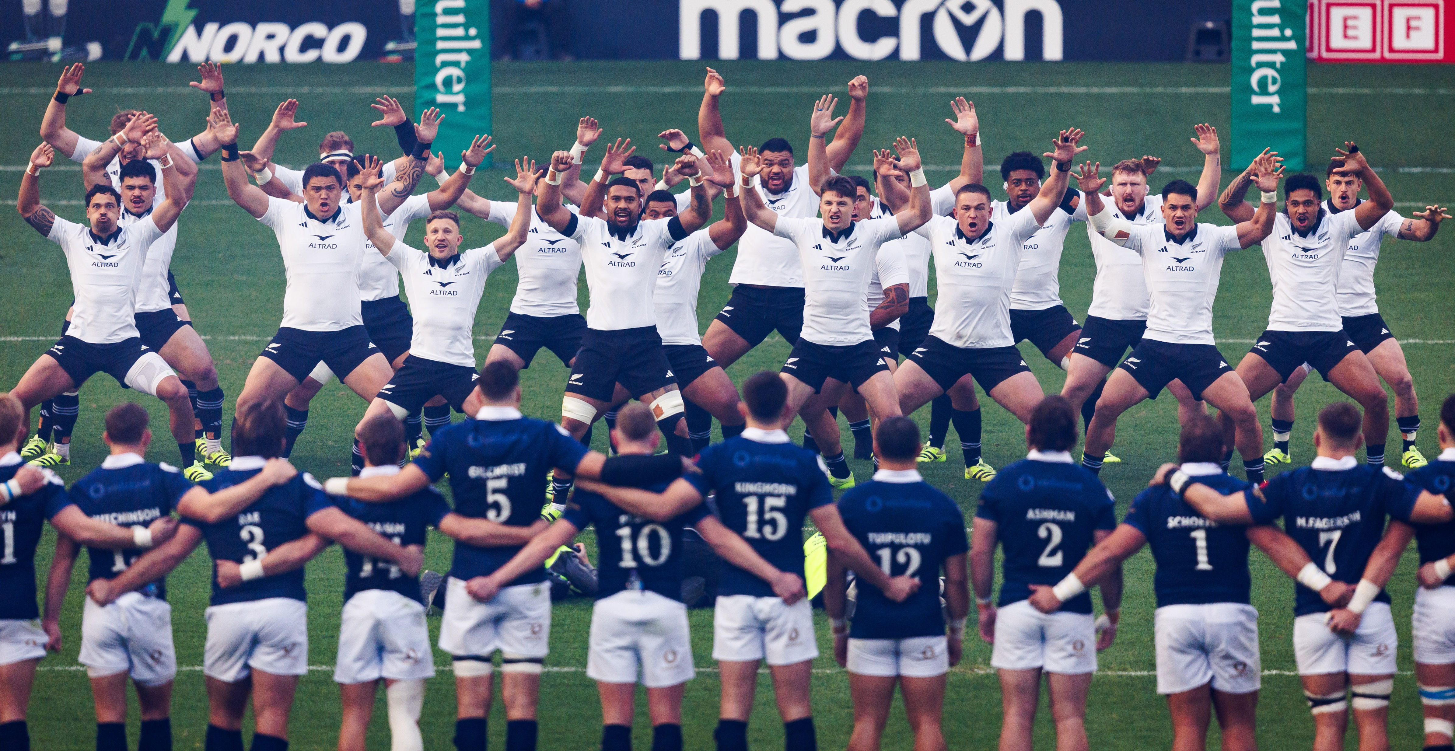 Scotland to face All Blacks in New Zealand for first time in 27 years