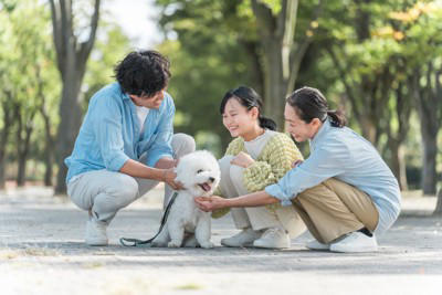 共働きの家庭で犬を飼うことはできるの？愛犬にツライ思いをさせないための心得とは