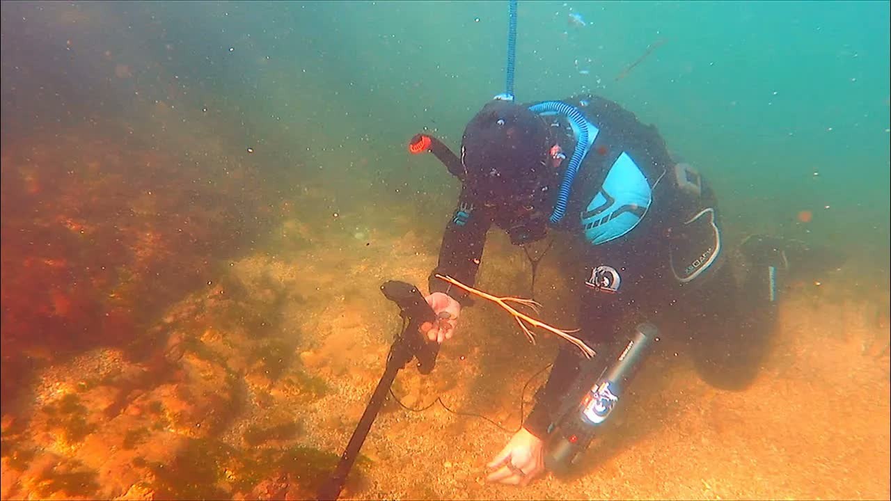 Michael Oliver searches Australia's east coast surf for a lost gold Rolex