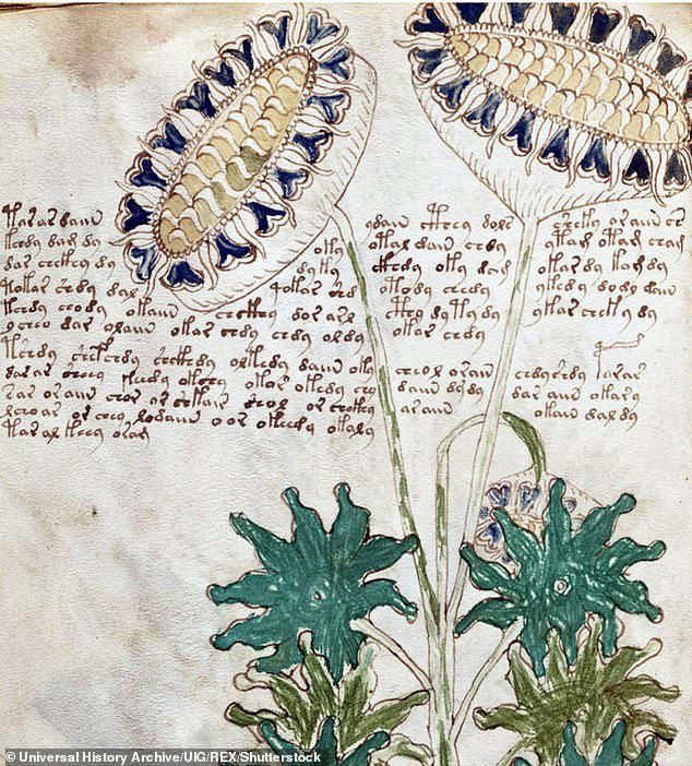 Is this why world's most mysterious text hasn't been cracked? Voynich ...