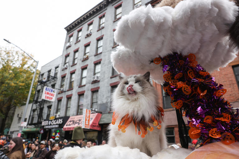 NYC named best US city for Halloween. See where Buffalo ranks