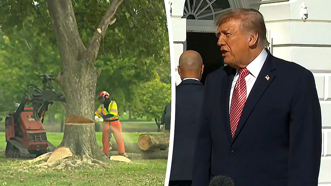 Judge halts Trump's revamp of historic golf course in Washington after ...