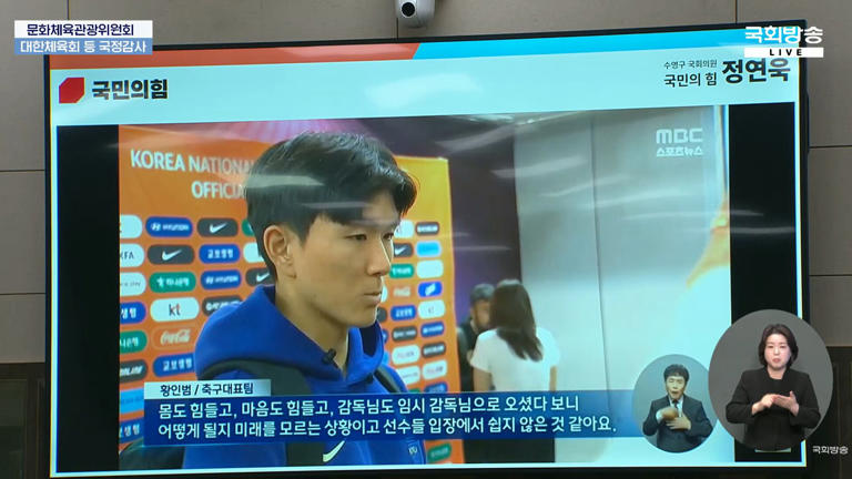 Parliamentary audit reveals Son Heung-min leadership strife
