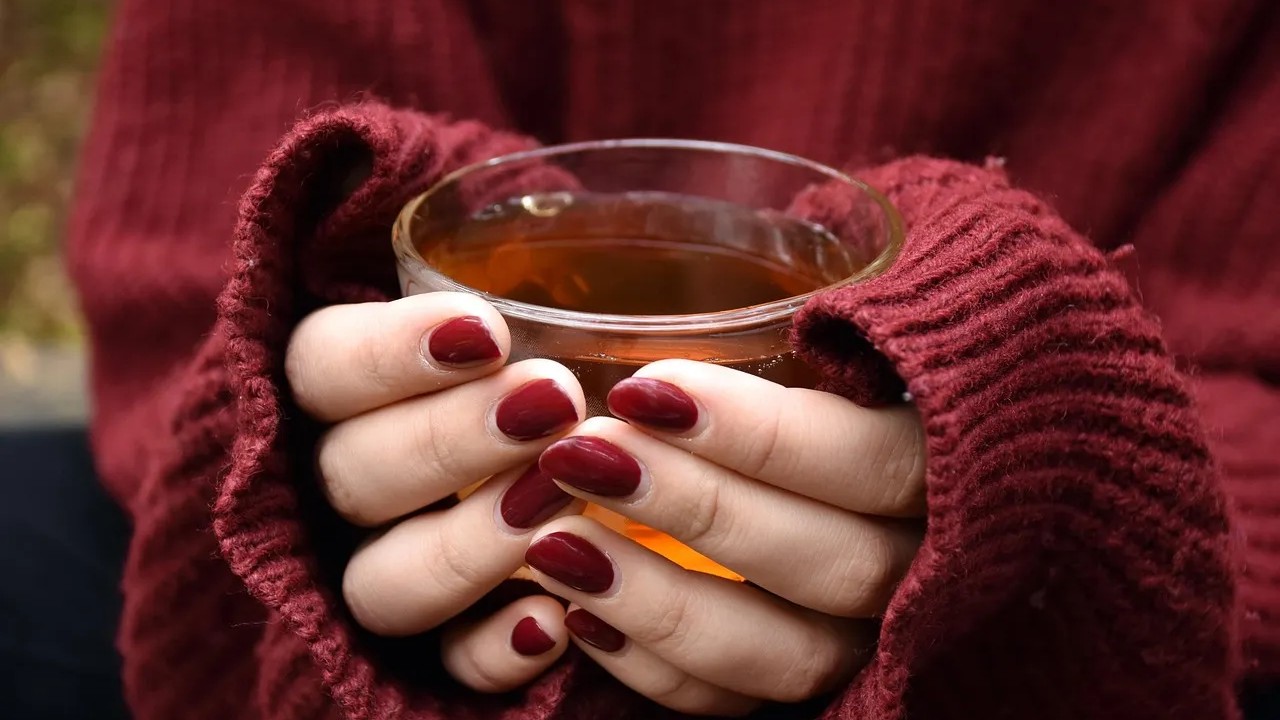 Why hibiscus tea deserves a spot in your fridge