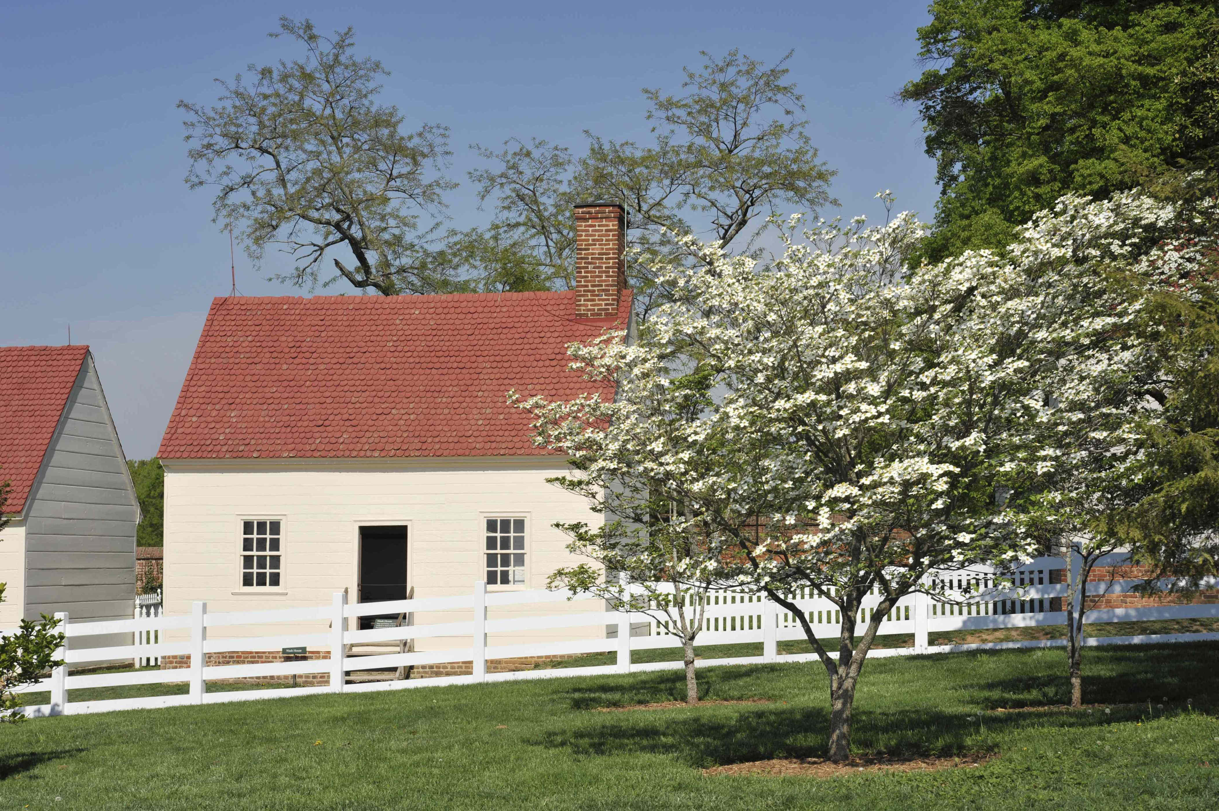 5 flowering trees that will transform your yard every spring—and fall ...