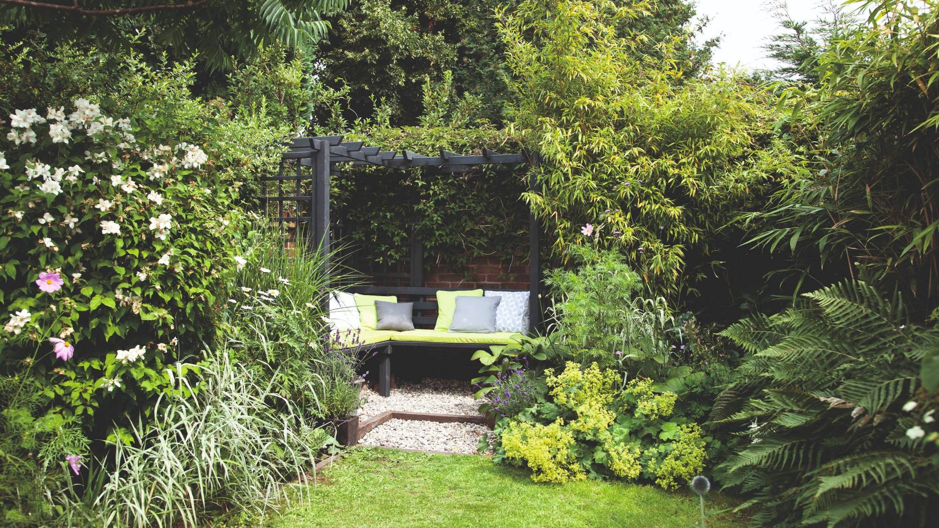 The best evergreen trees will make sure your garden never looks bare