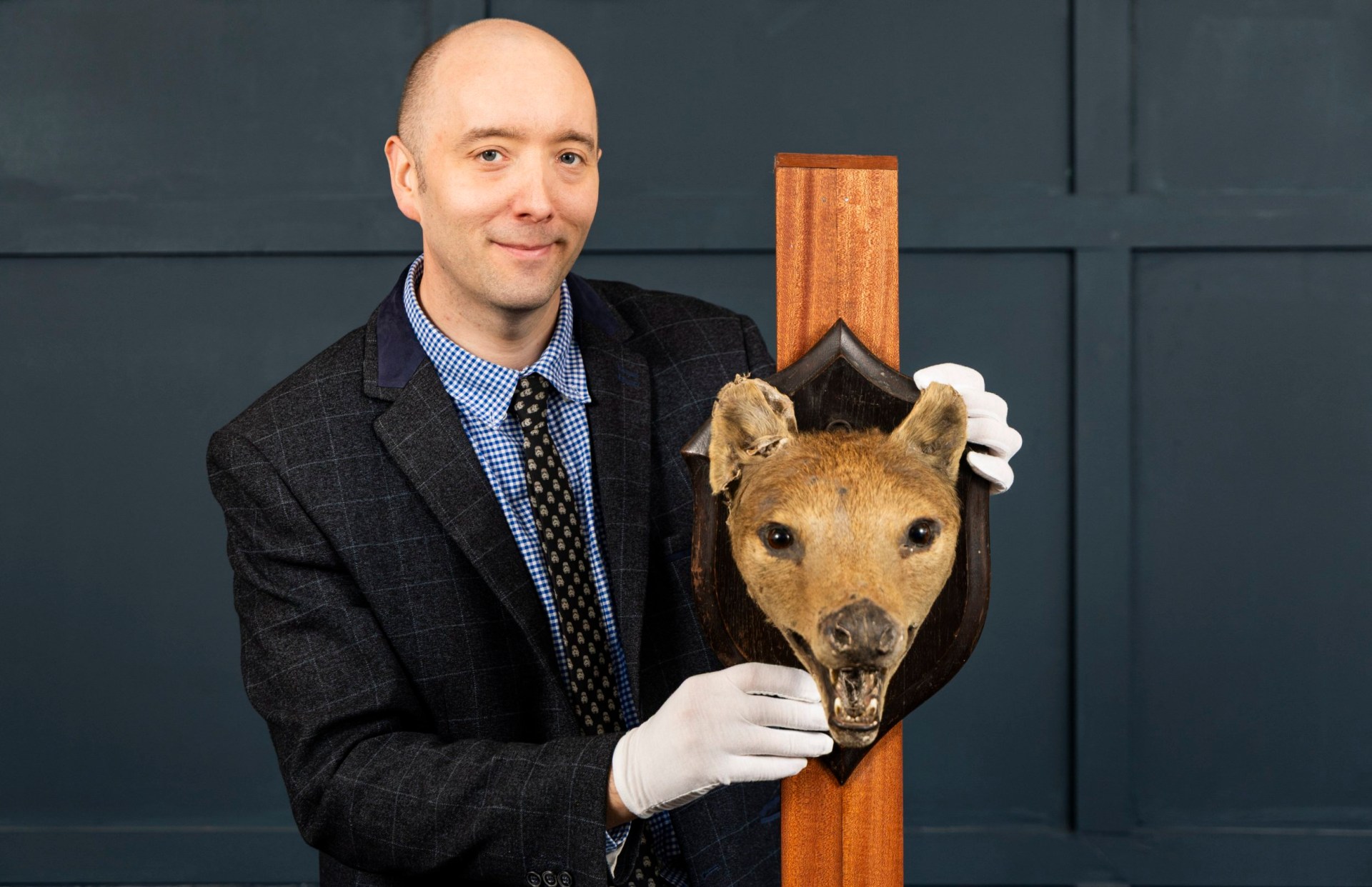 Extinct tiger head found under bed after only one in existence sold for ...