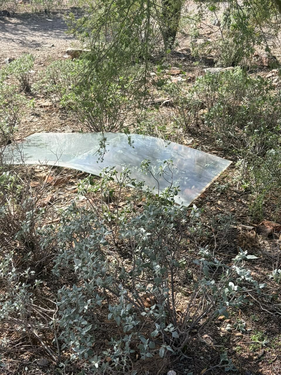 Taliesin West operator gives no answers about safety after death
