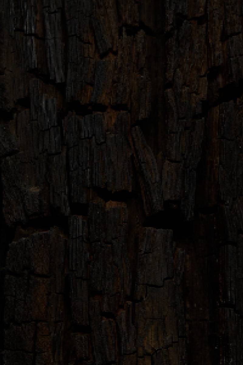 Would you spend thousands on a 6,000-year-old tree?