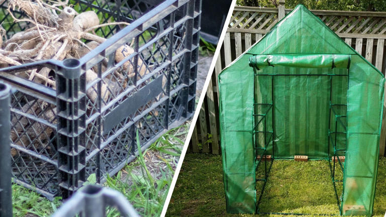 Don't abandon your mini plastic greenhouse this winter - try these ...