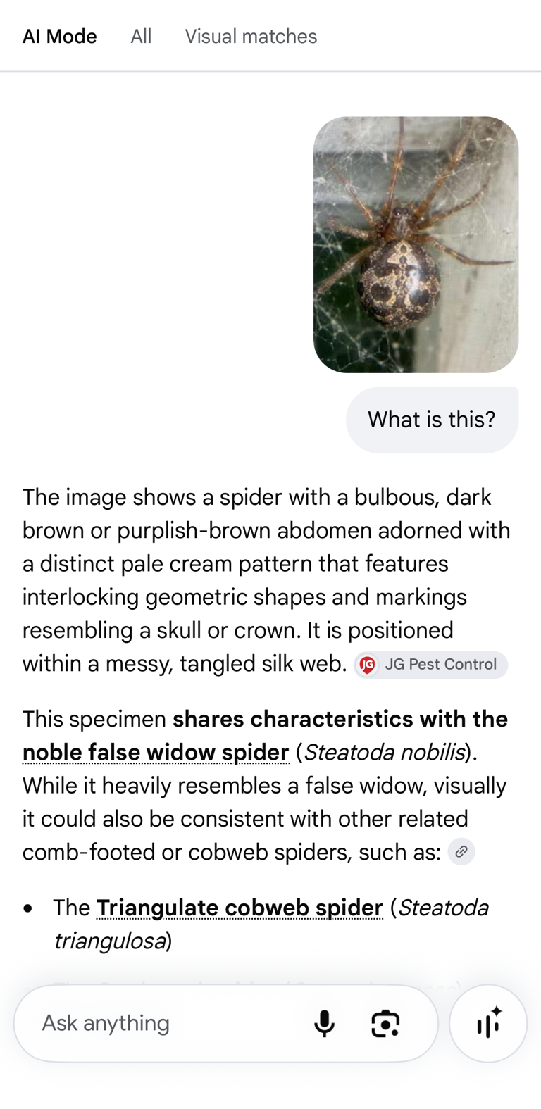 Google Lens solved 5 oddly specific problems that would have taken me ...