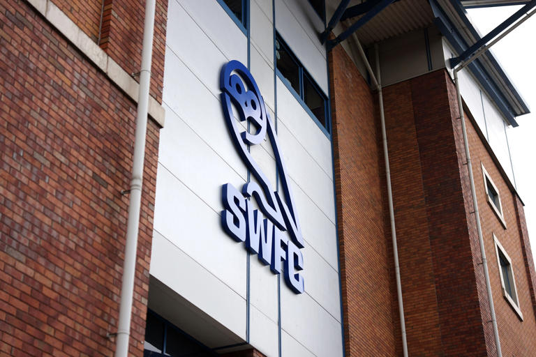 The next man at Sheffield Wednesday - the likely runners and riders