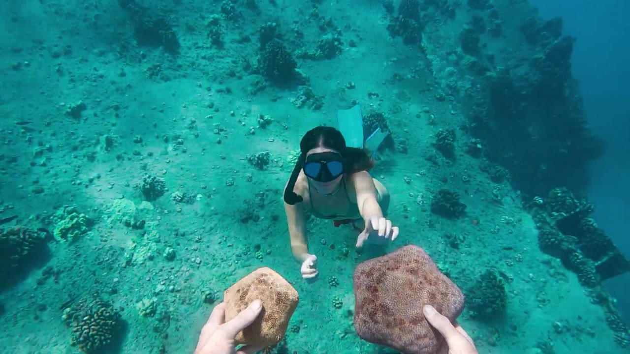 27 feet underwater. Razor-sharp coral. One wrong move could tear her open