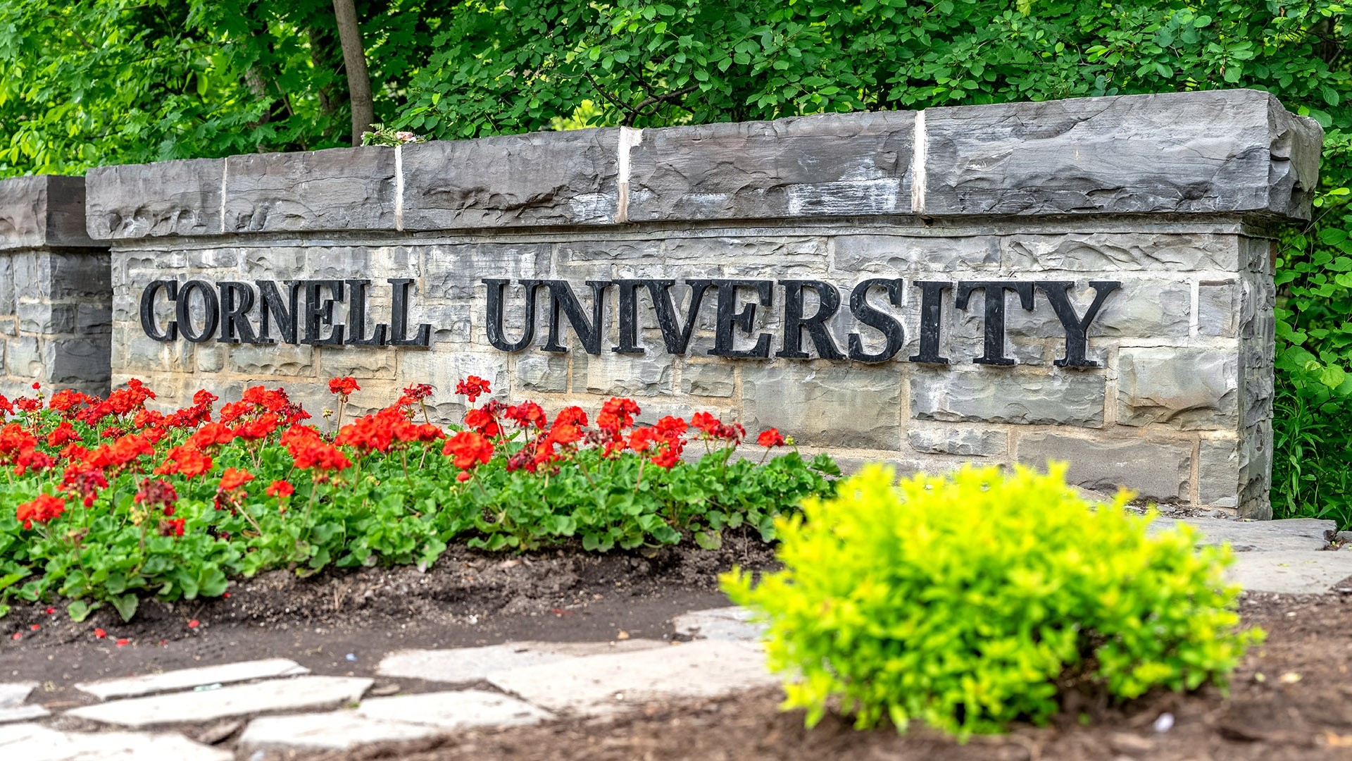 Jane Doe says she felt unsupported by Cornell's president