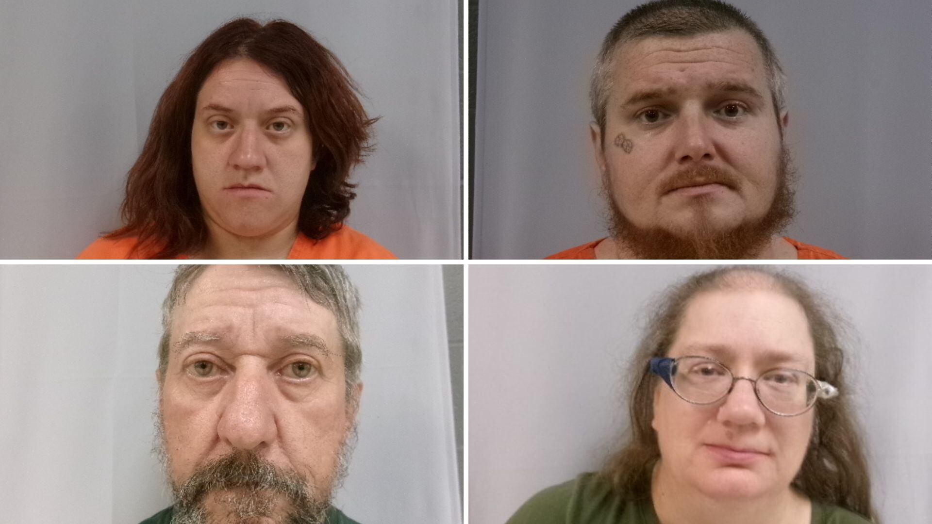 4 indicted after toddler found alone in Preston County road, chickens ...