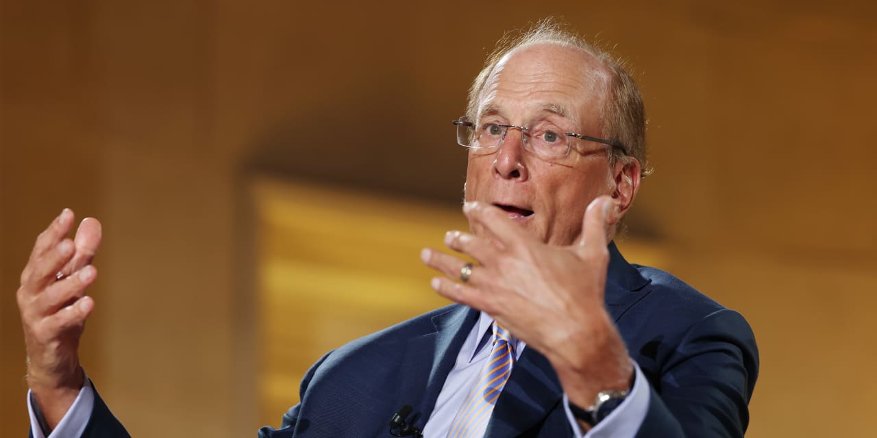 Opposition to data centers will drive up inflation, says BlackRock's Larry Fink