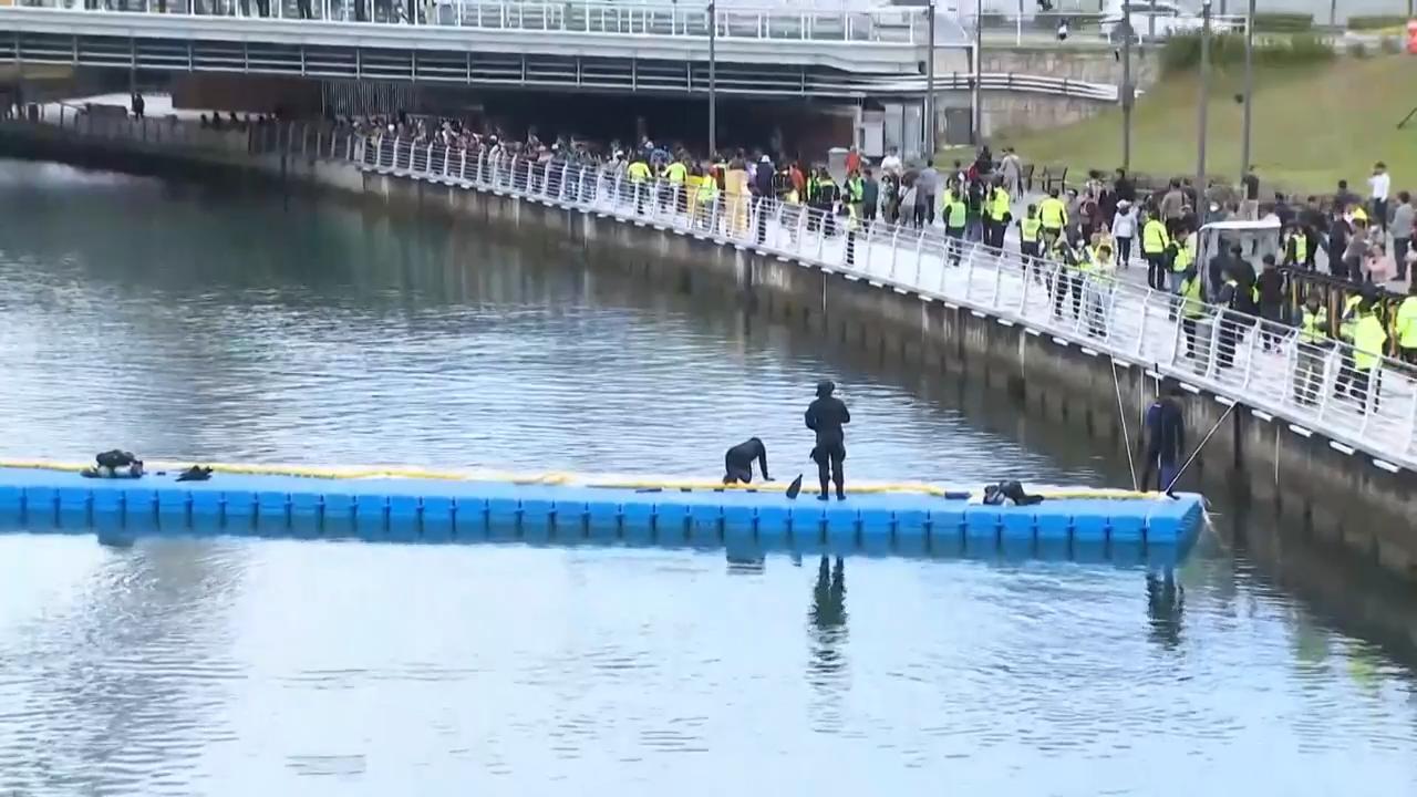 Authorities in Busan launch third attempt to send canal-trapped shark ...