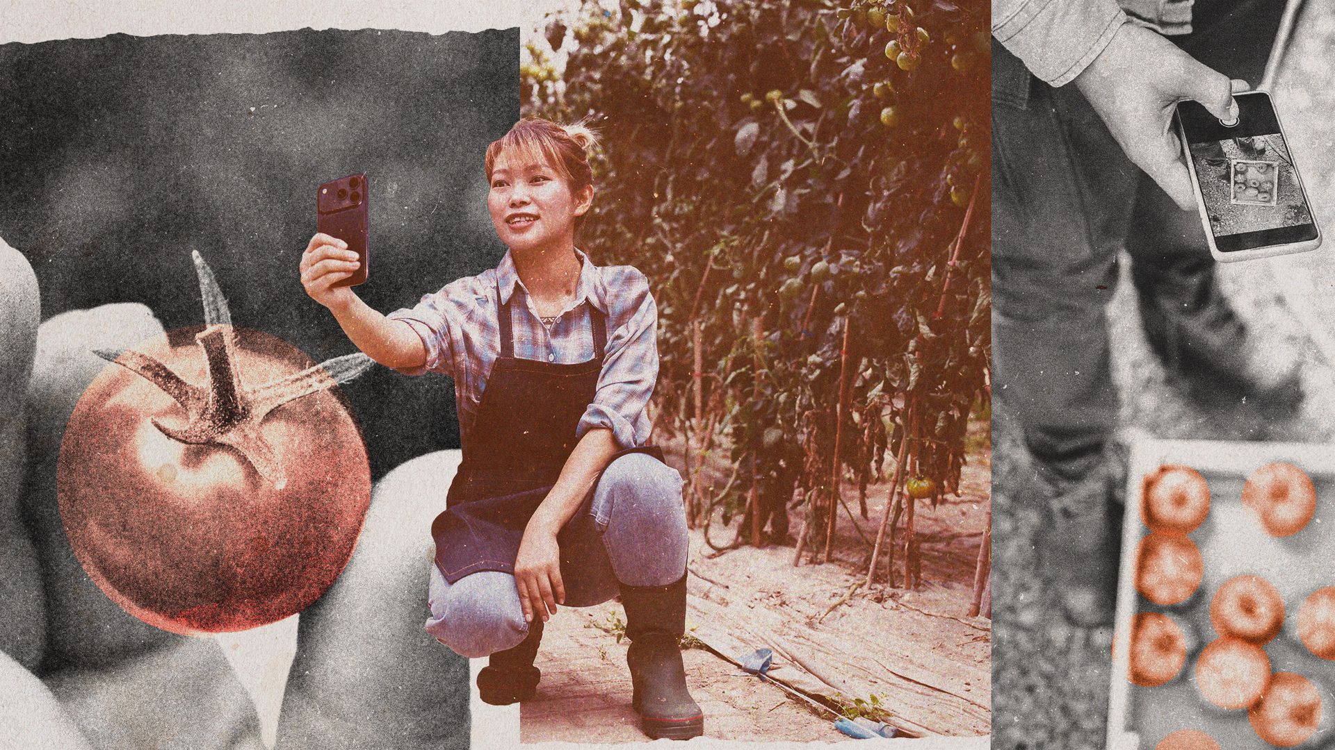 Chinese college graduates eschew urban life for farming