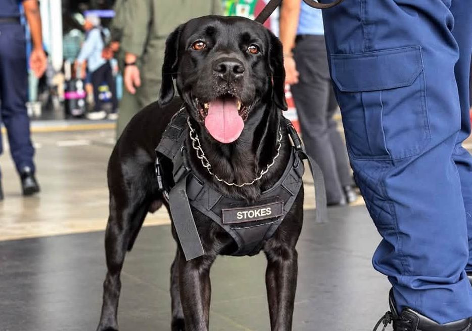 K9 units to be deployed at KLIA from Oct 26