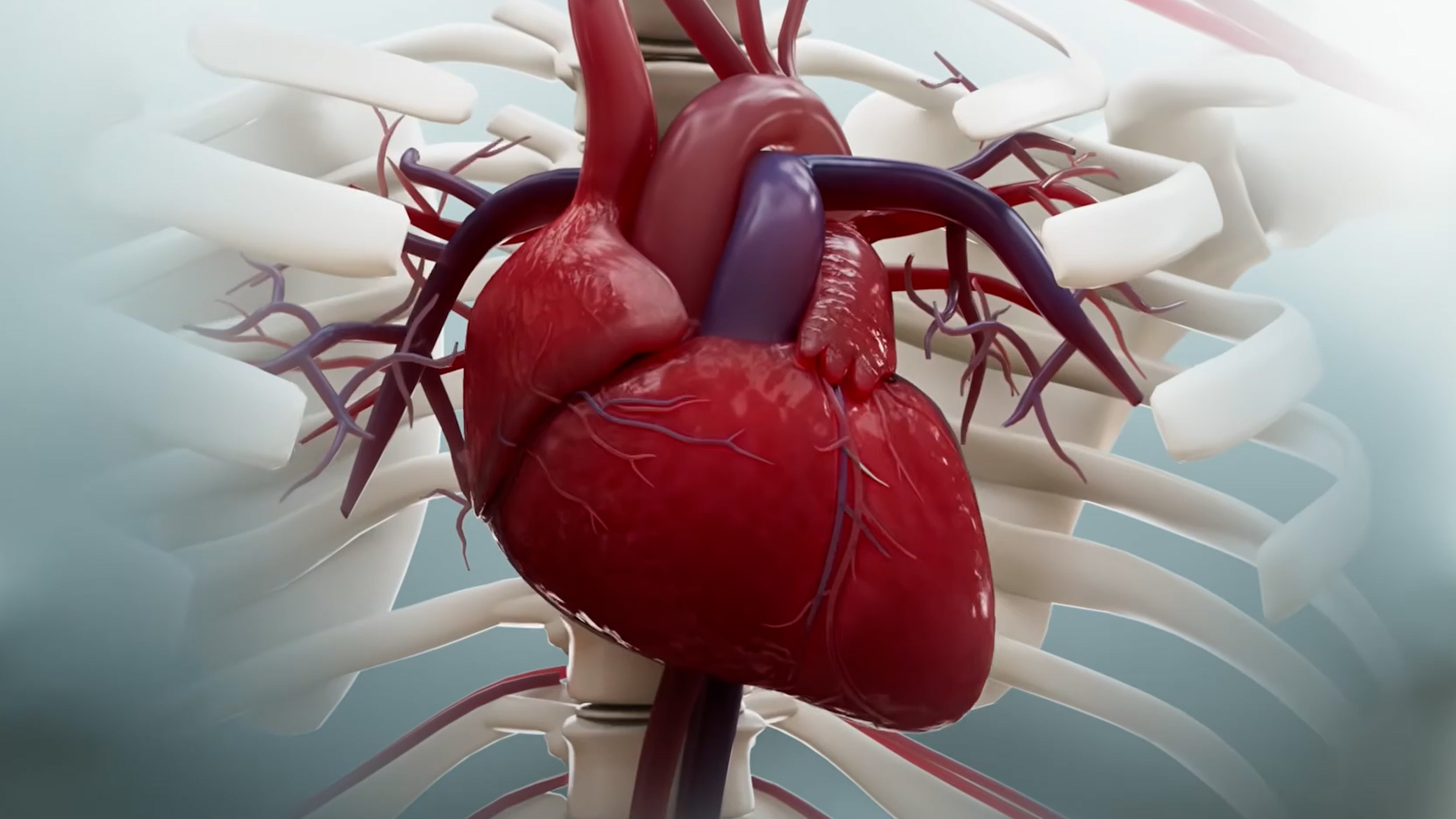 Doctors explain how heart failure develops and the treatments that help ...