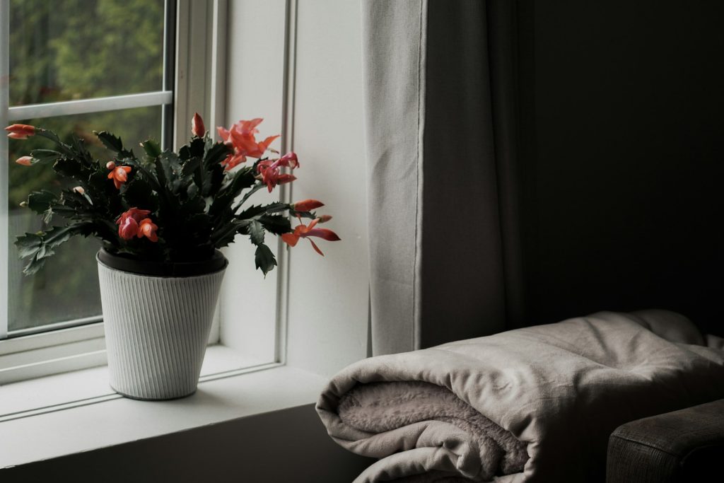 Simple luxuries that elevate daily living