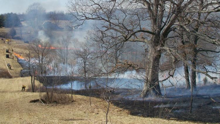 USDA Forest Service planning prescribed fires for Hoosier National Forest