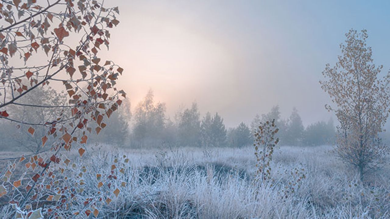 Bauernregeln im November: Nach Nebel viel Schnee im Winter?