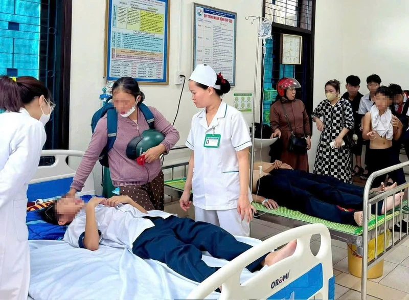 27 học sinh nhập viện do ong tấn công