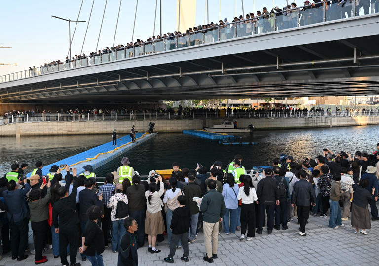 South Korea succeeds in 3rd attempt to move trapped shark out of canal