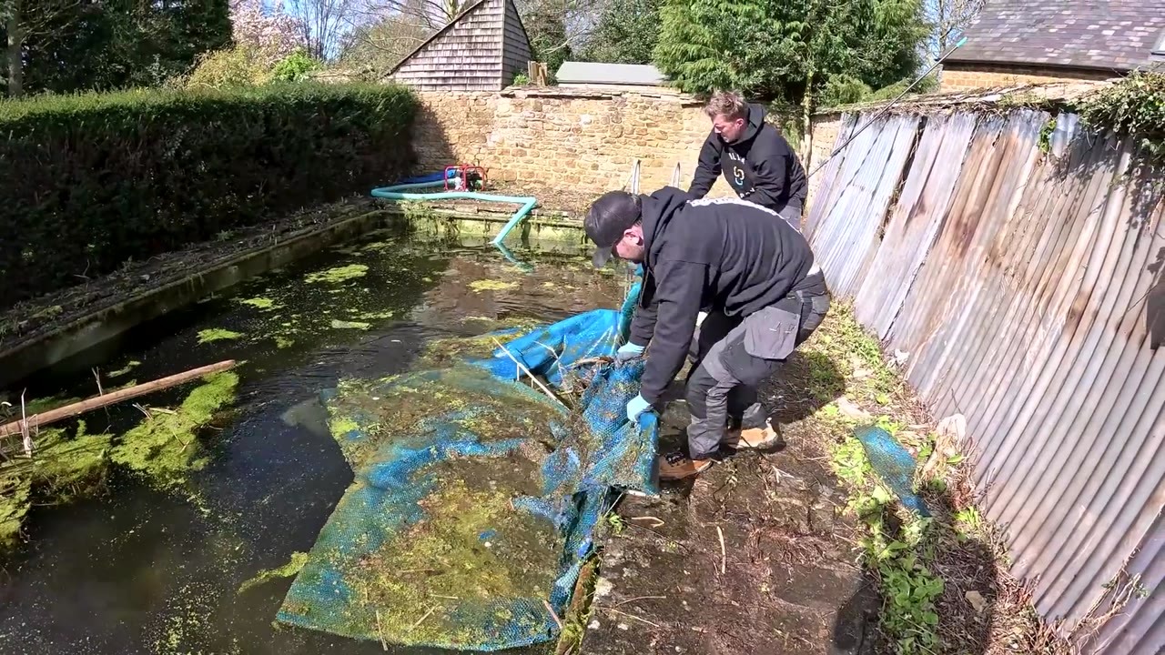 Pool cleaning crew clears a neglected backyard pool for renovation