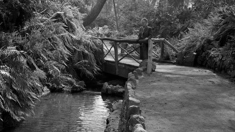 The surprising natural wonders hidden inside Los Angeles