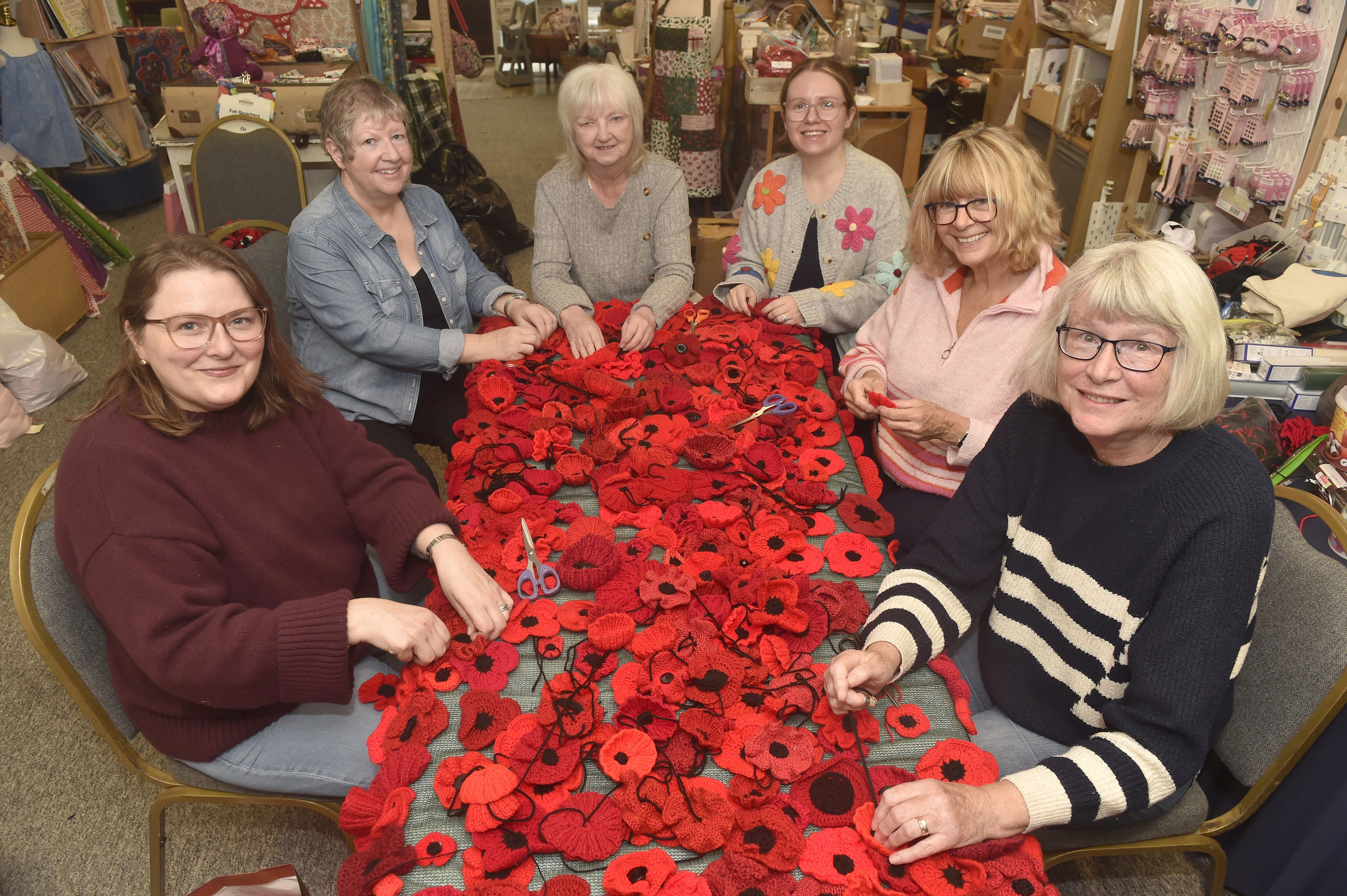 Crafters from across the country stitch 27,000 poppies for Southsea ...