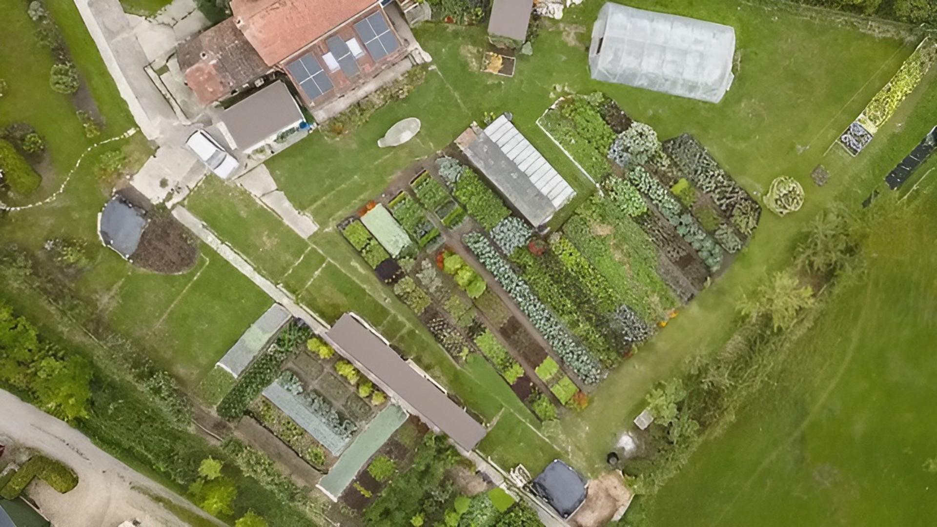 Beautiful vegetables, dramatic views: Charles explains his no dig ...