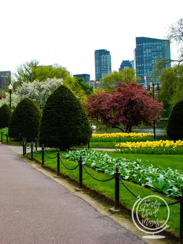 16+ best things to do in Boston with kids