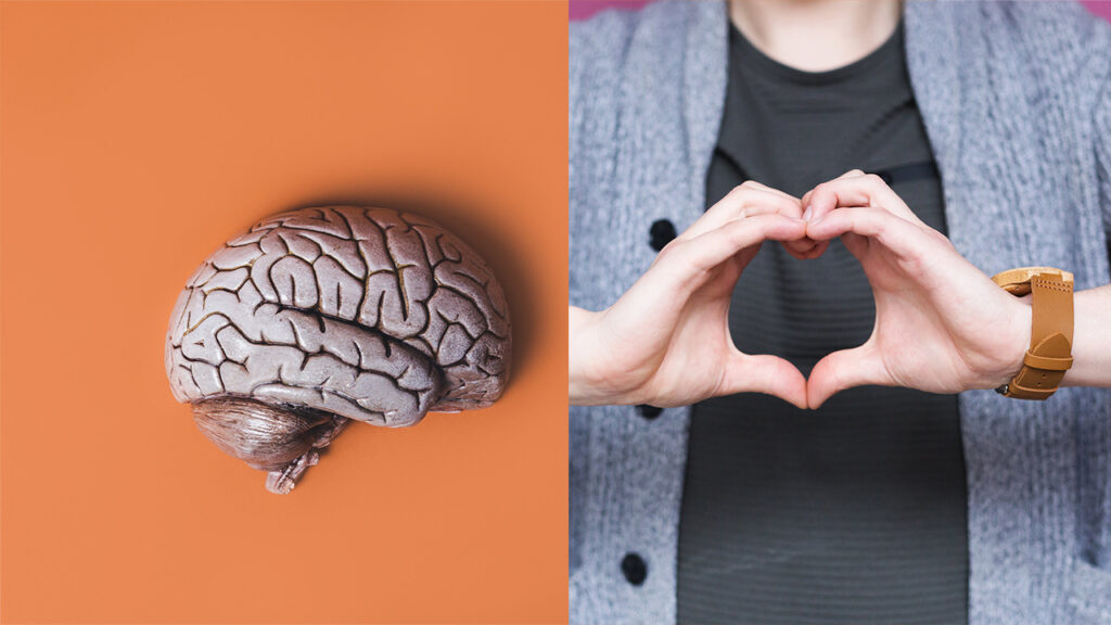 Scientists discovered you have a hidden little brain in your heart