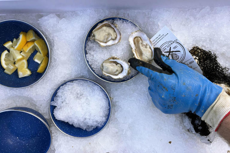 These rich, buttery oysters are unlike any you’ve tried — here’s why ...