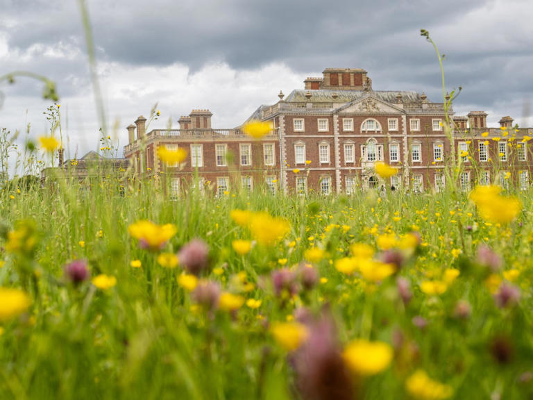 Wimpole: Abundance of wildlife with 5,000 species recorded