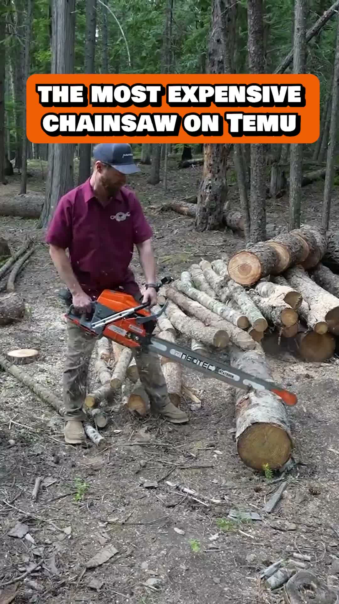 The most expensive chainsaw on TEMU