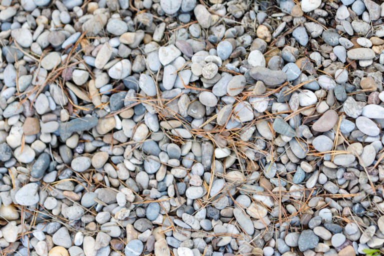 How to remove pine needles from gravel without disturbing the stones