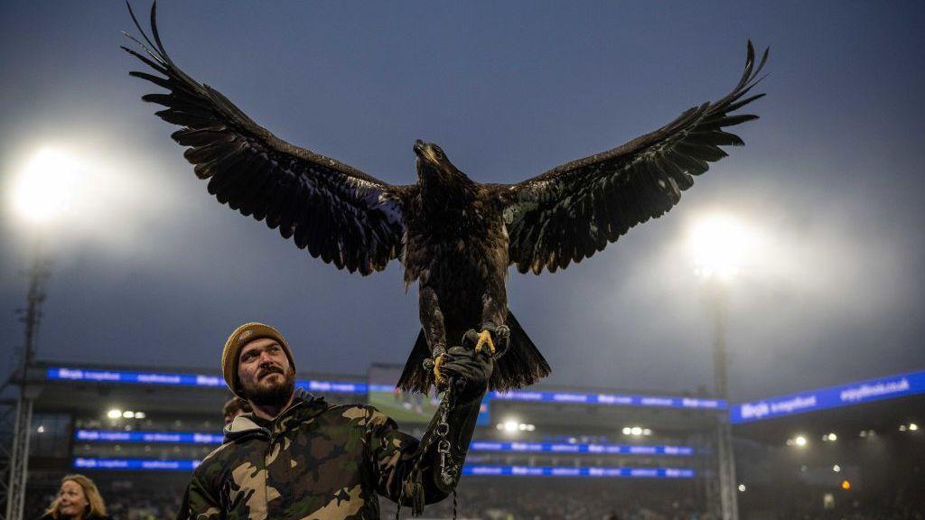 Is it time for Palace to retire live eagle mascot Phoenix?