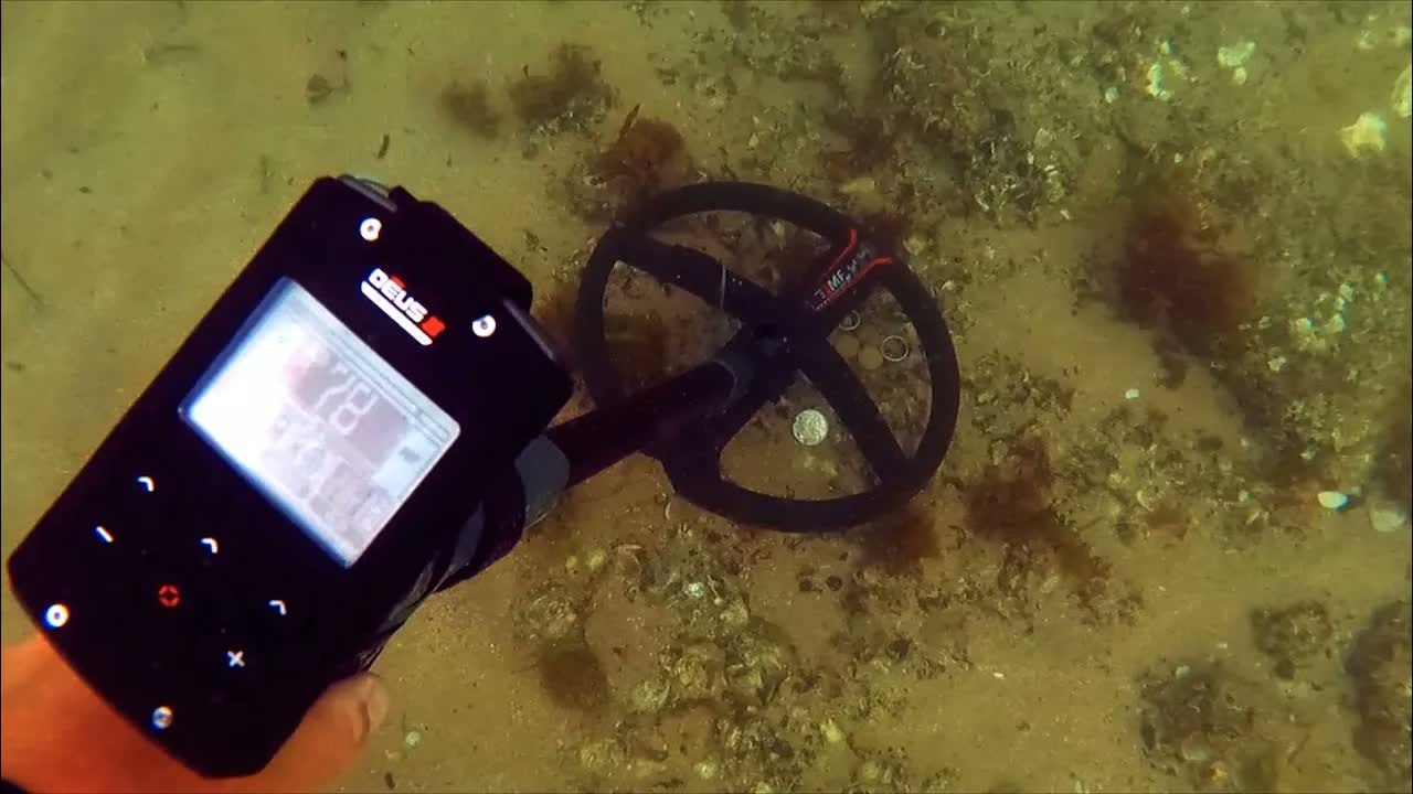 Metal detectorist finds a newlywed's lost wedding ring at a Sydney beach