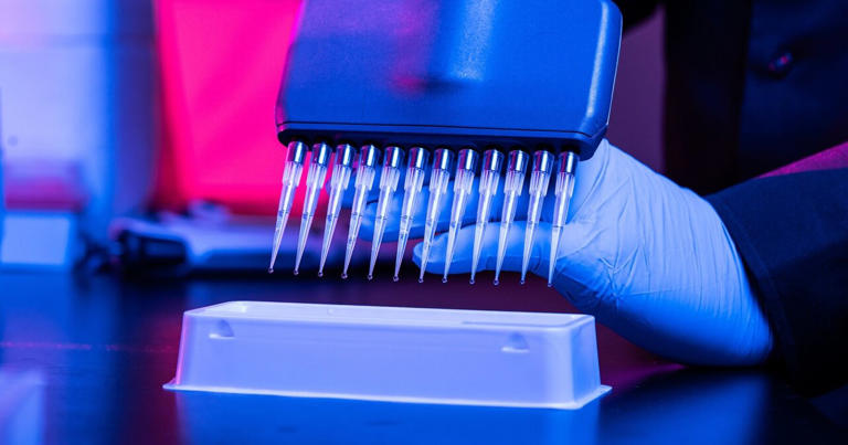 T cell survival protein controls gene activity, offering clues to HIV ...