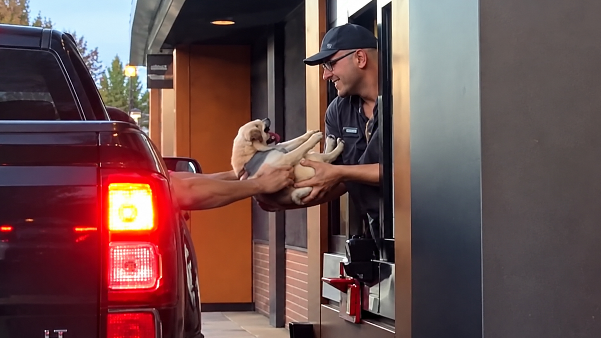 Bizarre moments that need an explanation