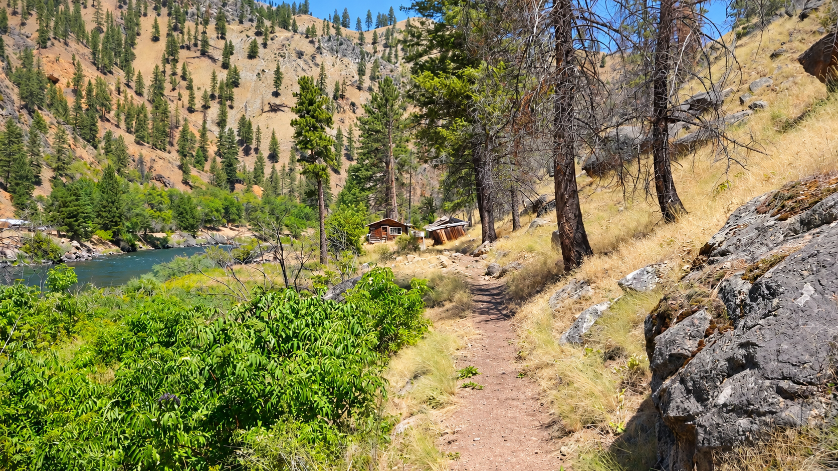 I stumbled upon something unbelievable along the Salmon River in Idaho
