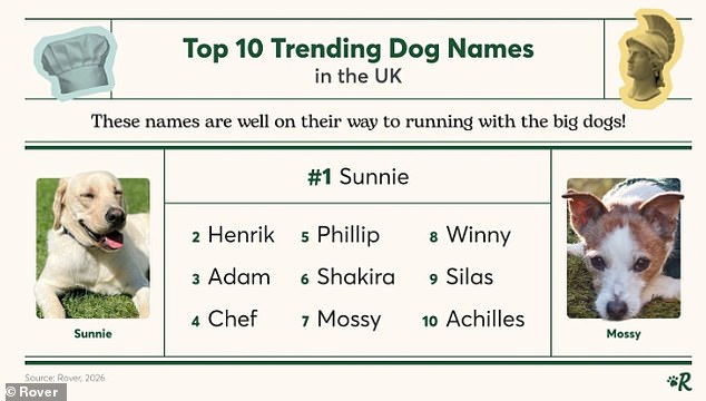 Britain's top dog and cat names revealed - so, does your pet make the cut?