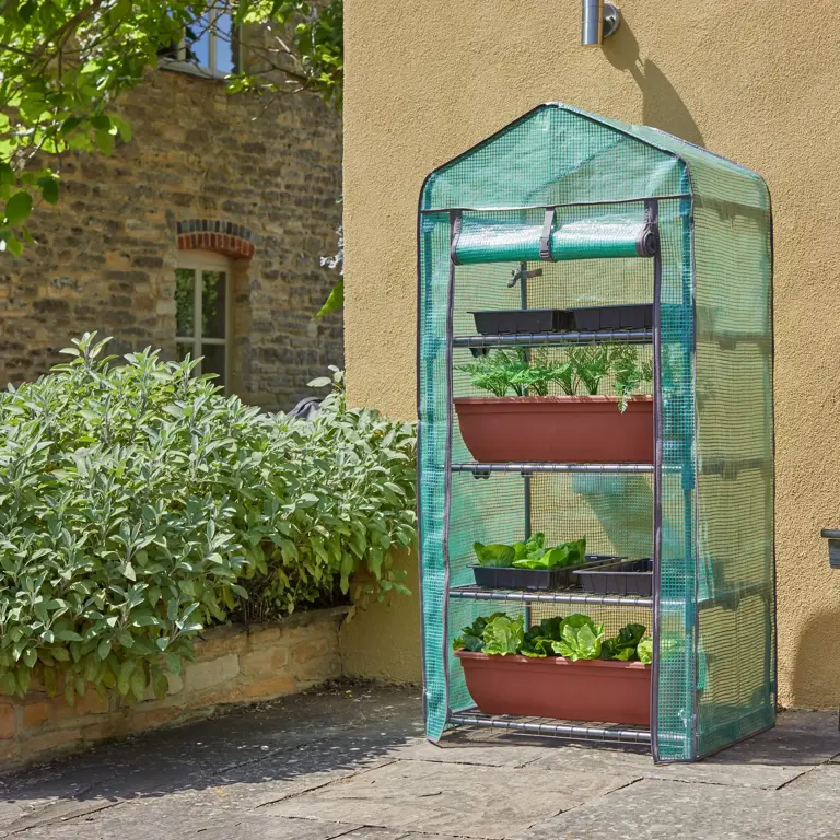 Don't abandon your mini plastic greenhouse this winter - try these ...
