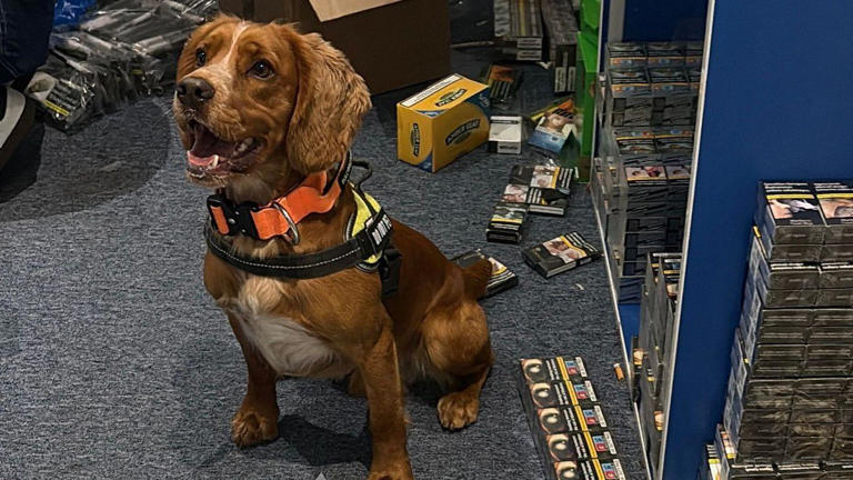 Suspected illegal tobacco seized in shop raid