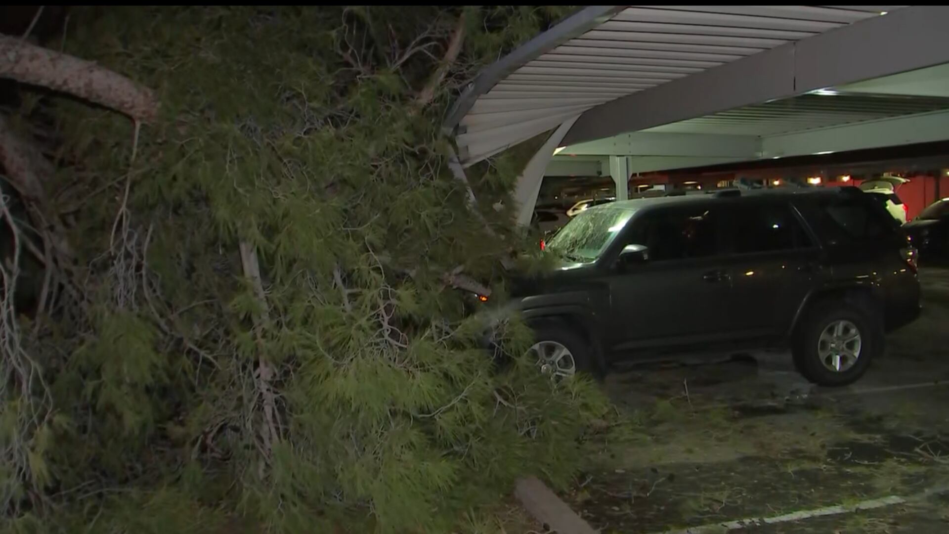 Cars damaged by downed trees in Mesa; 4 tornado warnings issued in ...