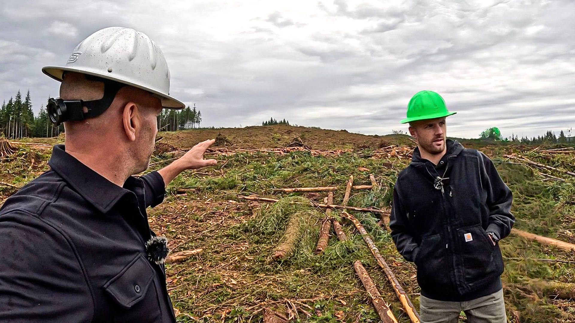 Inside America's timber country