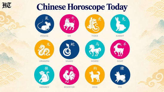 Chinese horoscope, October 22, 2026: A practical choice or timely ...